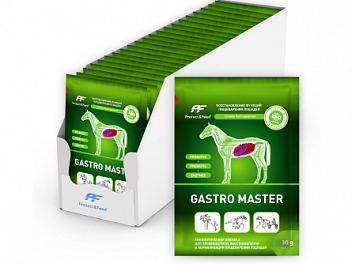 Gastro Master - Пищеварение